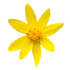metro Calgary Biodiversity Challenge 2026 icon