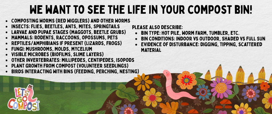 Compost Tracking Form Life in Compost: Observations and Tracking · iNaturalist