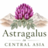 Astragalus in Central Asia icon