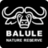 Balule Nature Reserve &amp; Greater Kruger: City Nature Challenge 2026 Project icon