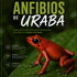 Anfibios de Urabá icon