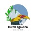Birds Iguazu: Micro &amp; Macro — Biodiversity Project icon
