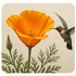Marin Community Nature Walks icon