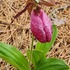 A.D. Makepeace Company Ecological Survey icon
