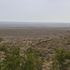 Karoo Species icon