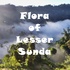 Flora of Lesser Sunda icon