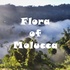 Flora of Molucca icon