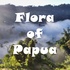 Flora of Papua icon