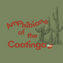 Amphibians of the Caatinga (Brazil) icon