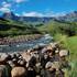 Herps of KZN icon