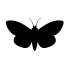 Lancashire &amp; Cheshire Entomological Society (LCES) icon