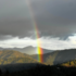 Solstice BioBlitz 2026 icon