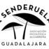 Setas de la provincia de Guadalajara icon
