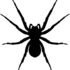 Пауки Республики Мордовия | Spiders of the Republic of Mordovia icon