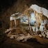 Aracnídeos cavernícolas de Mundo Novo e Barbosilândia icon