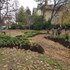 Northern Larona Park Trees icon