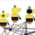 Bombus bicoloratus/trifasciatus complex (mainland China) icon