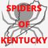 Spiders of Kentucky icon
