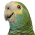 Lora project - Aruba icon