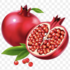 2026 RIPENING BioBlitz (CTSS-FRUIT SAVERS ) icon