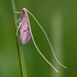 Lebensraum Alpen 2013 (Gruppe I) icon