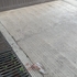 Dead birds in Xalapa icon