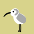 Wild OBX: Shorebirds icon