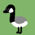 Wild OBX: Waterfowl and Water Birds icon