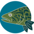 Richmond Catchment BioBlitz icon