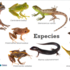 Monitoreo Participativo-Plan de Conservación Multiespecie FCA icon