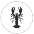 American Lobster Epizootic Shell Disease icon