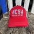 NCSU Abejones Field Research, May 2026 icon