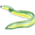 American Eel Observations icon
