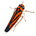 Leafhoppers of the Himalayas icon