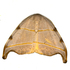 Moths of the Himalayas (Drepanoidea) icon
