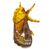 Moths of the Himalayas (Zygaenoidea) icon