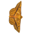 Moths of the Himalayas (Thyridoidea) icon