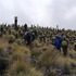 Biodiversidad en Ruta | PNN Los Nevados | Ornatus Biotours icon