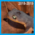 Pacific Newt Roadkill (2018-2019) - Lexington Reservoir icon