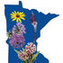 Native Wildflowers of MN icon