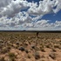 NEON D15 Great Basin and Colorado Plateau icon
