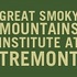 Tremont Institute non-photo ATBI observations icon