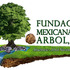 Árboles mexicanos icon
