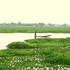 Avifaunal diversity of Kapla Wetland,Assam,India icon