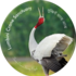 Lumbini Crane Sanctuary and Farmland Biodiversity of Lumbini icon