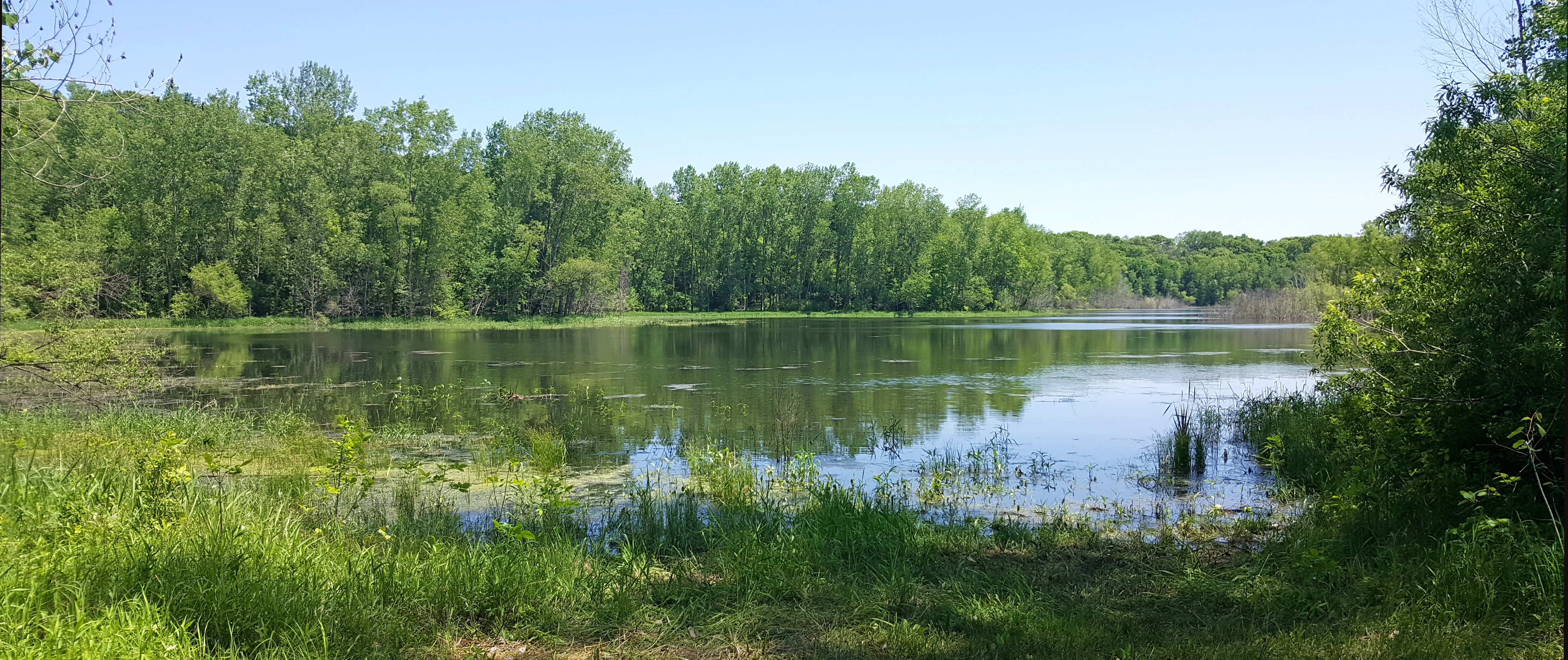 Sunfish Lake Park · iNaturalist