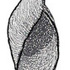 Mollusca distribution in Utah icon