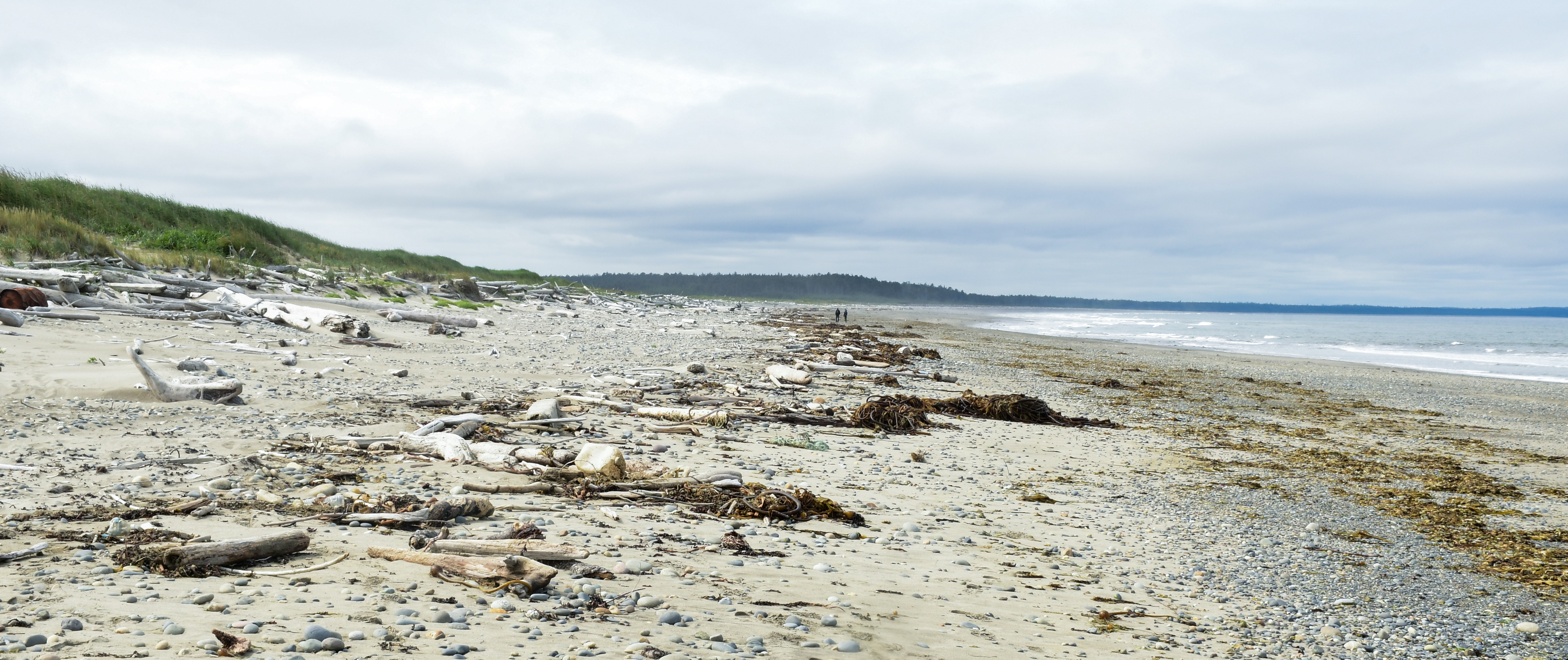 Rose Spit Ecological Reserve