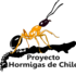 Hormigas de Chile icon