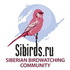 Siberian Big Garden Birdwatch - 2019 icon